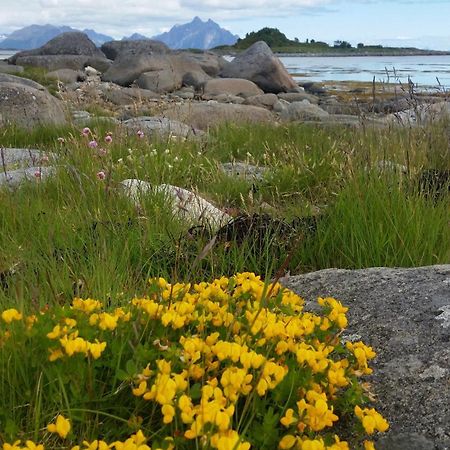 Lofotbo Villa Stamsund Exteriör bild