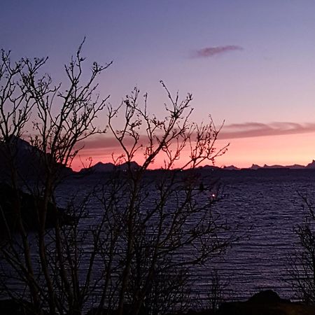 Lofotbo Villa Stamsund Exteriör bild
