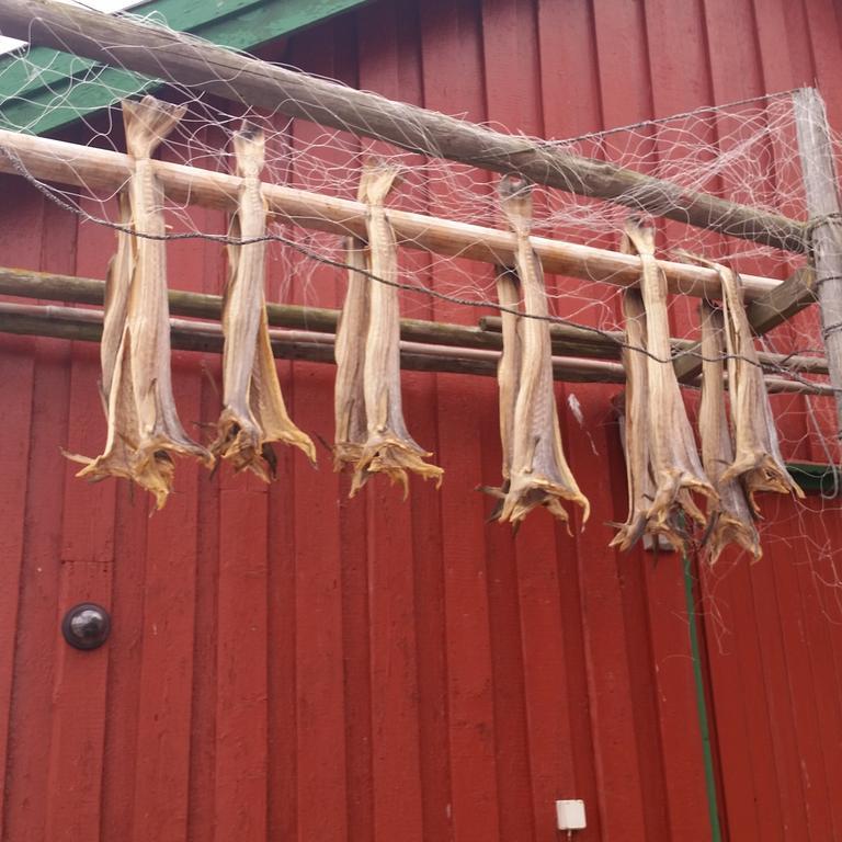 Lofotbo Villa Stamsund Exteriör bild