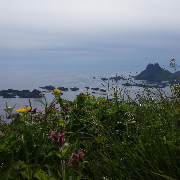 Lofotbo Villa Stamsund Exteriör bild