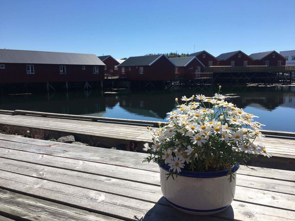 Lofotbo Villa Stamsund Exteriör bild