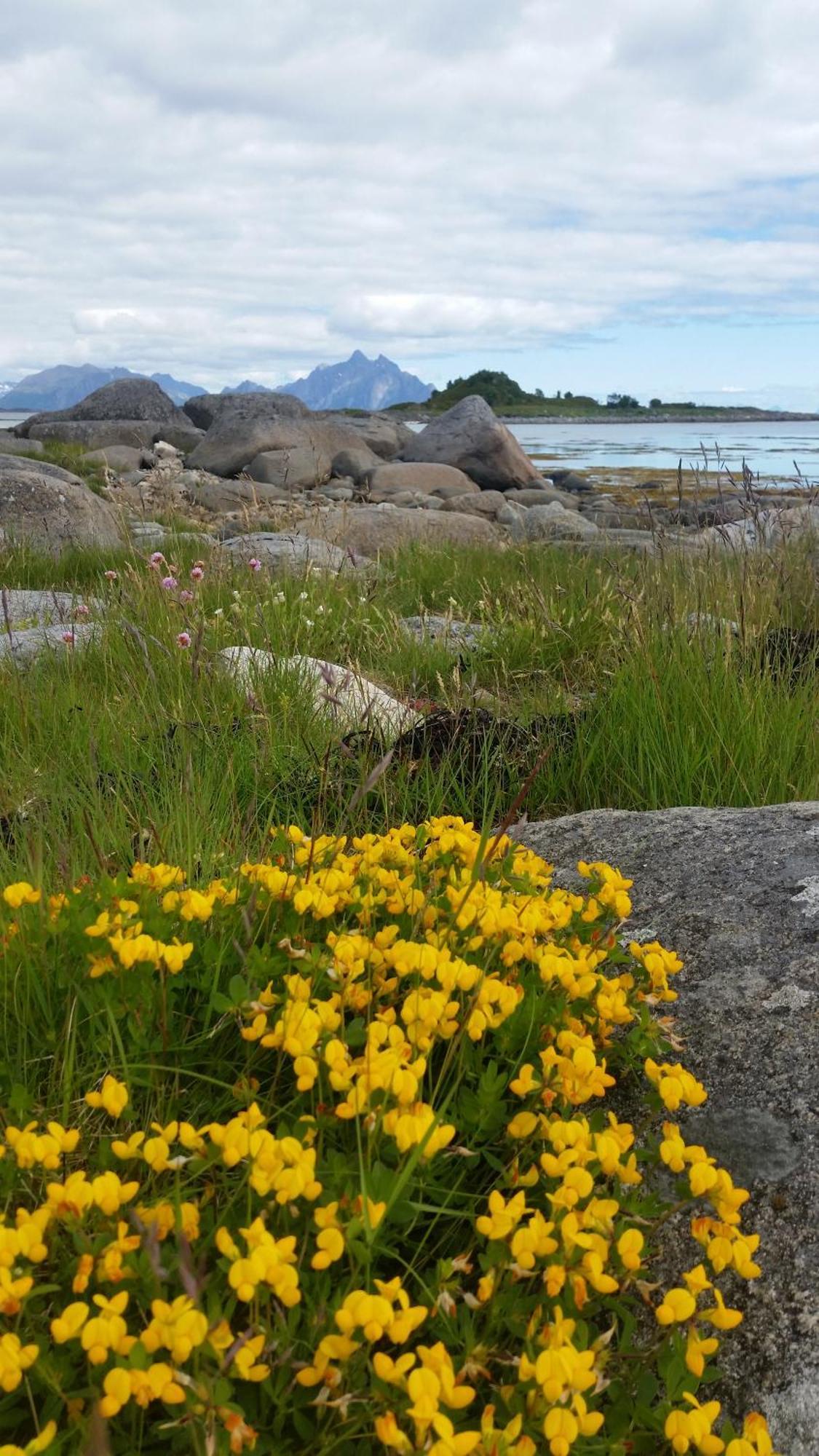 Lofotbo Villa Stamsund Exteriör bild